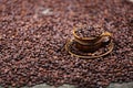 Coffee beans in a cup Royalty Free Stock Photo