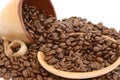 Coffee beans with cup and plate