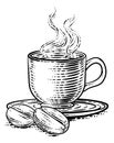 Coffee Beans And Cup Vintage Woodcut Illustration Royalty Free Stock Photo