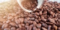 Coffee beans and coffee cups on the background Royalty Free Stock Photo