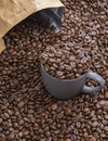 Coffee beans in dark cup on mixed coffee beans background Royalty Free Stock Photo