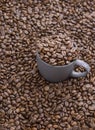 Coffee beans in dark cup on mixed coffee beans background Royalty Free Stock Photo