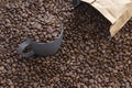 Coffee beans in dark cup on mixed coffee beans background Royalty Free Stock Photo