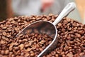 Coffee beans, dark roast and premium scoop in cafe, restaurant or shop with product. Espresso, store and caffeine blend