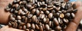 Coffee beans dark roat on hand at home Royalty Free Stock Photo