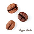 Coffee beans. Delicious drink. Isolated . vector file