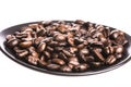 Coffee beans in the dish Royalty Free Stock Photo