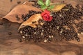 Coffee beans with dry leaves of magnolia and red rose. Royalty Free Stock Photo