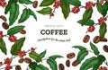 Coffee beans engraved background. Hand drawn branches with leaves and seeds. Restaurant and cafeteria shop menu framing