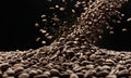 coffee beans falling into the air on a black background with copy space Royalty Free Stock Photo