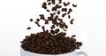 Coffee Beans Falling into a Cup against White Background Royalty Free Stock Photo