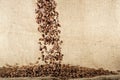 Coffee beans falling down on sack background