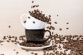 Coffee beans falling down into white cup standing on a black cup on white plate. Royalty Free Stock Photo