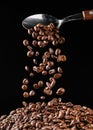 coffee beans falling from spoon on pile Royalty Free Stock Photo