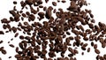 Coffee beans are falling on a white background. Roasted cocoa Beans. 3d render Royalty Free Stock Photo