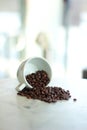 Coffee beans falling from a white cup Royalty Free Stock Photo