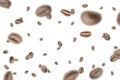 Coffee beans flying background. Black espresso grain falling on white. Rustic coffee bean fall isolated. Represent Royalty Free Stock Photo