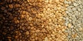 Coffee beans from green to dark roast. Texture of roasted beans background. Dark roasted arabica beans. Gradient of roasted coffee Royalty Free Stock Photo
