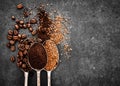 Coffee beans, ground coffee and instant coffee on spoons Royalty Free Stock Photo