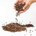 Coffee beans in hand white background
