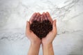 Coffee beans in hands, heart shape, with marble background Royalty Free Stock Photo