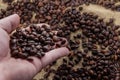 Coffee beans in heand Royalty Free Stock Photo