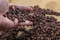 Coffee beans in heand Royalty Free Stock Photo