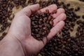 Coffee beans in heand Royalty Free Stock Photo