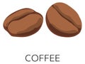 Coffee beans icon. Fresh roasted drink symbol