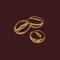 Coffee beans icon sketch 1