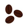 Coffee beans icon vector. roasted coffee beans
