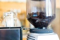 Coffee beans inside electric coffee grinder Royalty Free Stock Photo