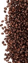 Coffee Beans - isolated image Royalty Free Stock Photo