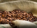 Coffee beans Royalty Free Stock Photo