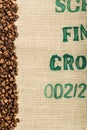 Coffee beans Royalty Free Stock Photo