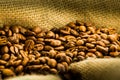 Coffee beans Royalty Free Stock Photo