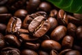 coffee beans, leaves and leaves are all closeup on this coffee bean