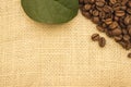 Coffee beans lying on the sacking Royalty Free Stock Photo