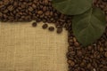 Coffee beans lying on the sacking Royalty Free Stock Photo