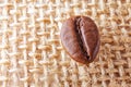 Coffee beans. Macro photo. The concept of growing and making coffee. Royalty Free Stock Photo