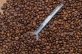 Coffee beans and metal spoon Royalty Free Stock Photo