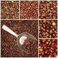 Coffee beans mixtures collage