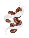 Coffee beans moves in a swirling splashes of milk