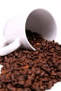 Coffee Beans and Mug