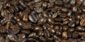 Coffee beans Royalty Free Stock Photo