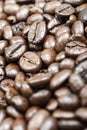 Coffee beans Royalty Free Stock Photo