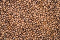 Coffee Beans - Organic