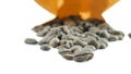 Coffee beans