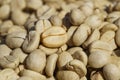 Coffee beans with parchment skin, after the pulp and outer skin