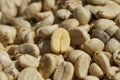 Coffee beans with parchment skin, after the pulp and outer skin